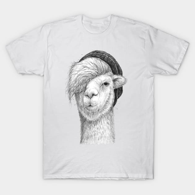Lama